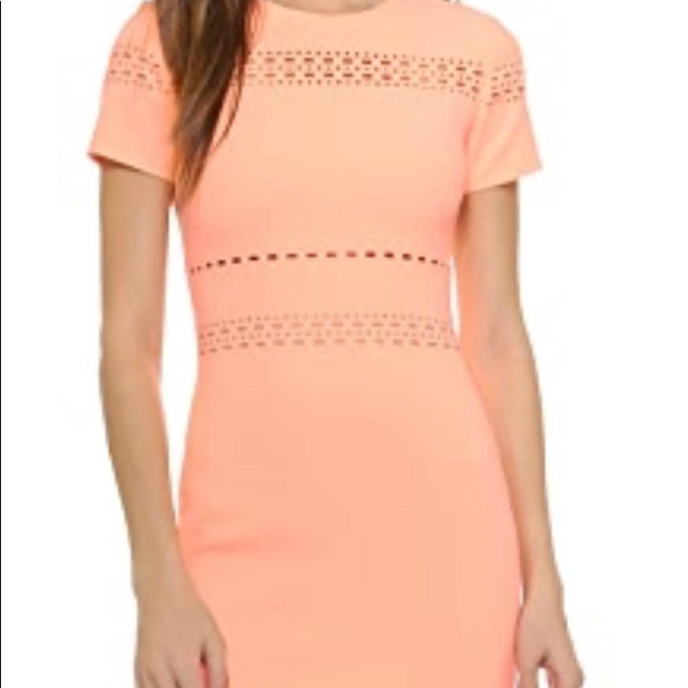 Elizabeth and James Ari dress